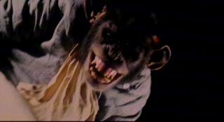  ( Delicatessen ) - image no.75